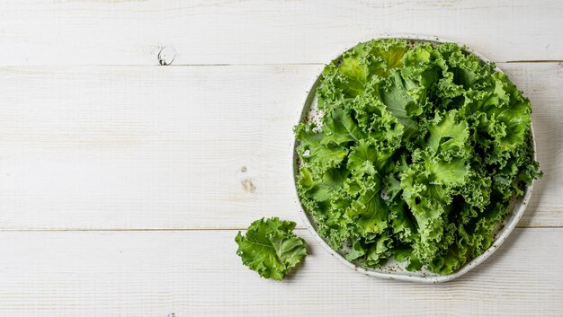 Kale leaves in bowl copy space top view