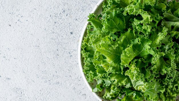 Kale leaves in bowl copy space top view