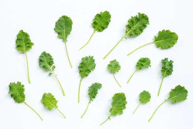 Kale leaves. Top view