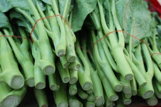 Kale at the market