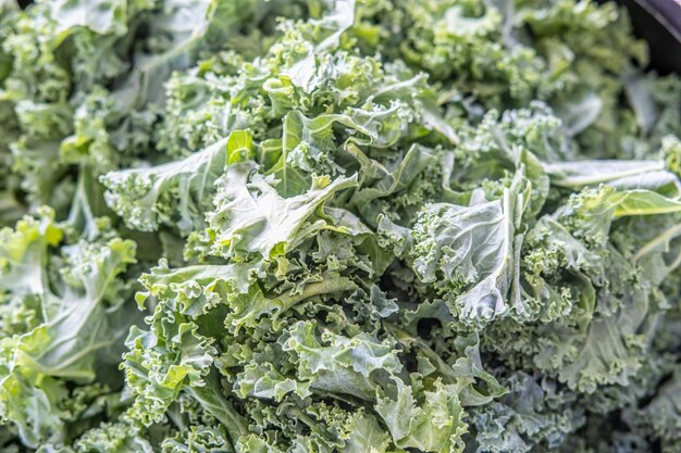 Kale in a pot ready to be washed