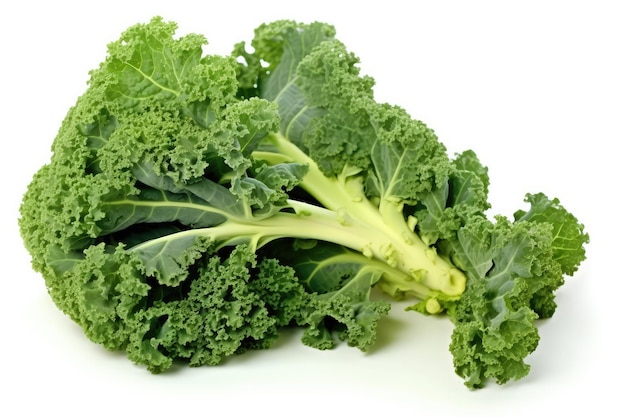 Kale On A White Background Generative AI
