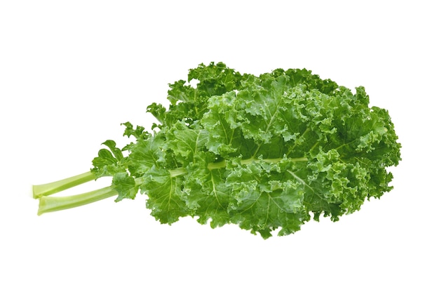 Kale on white background