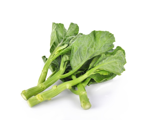 Kale on white background