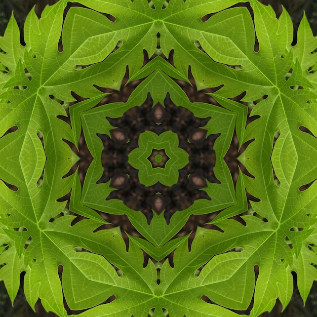 A kaleidoscope of green leaves is made up of a circular pattern.