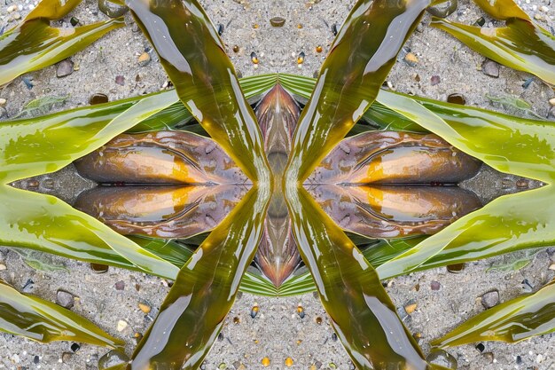 Photo kaleidoscopic kelp kingdom green abstract background photo