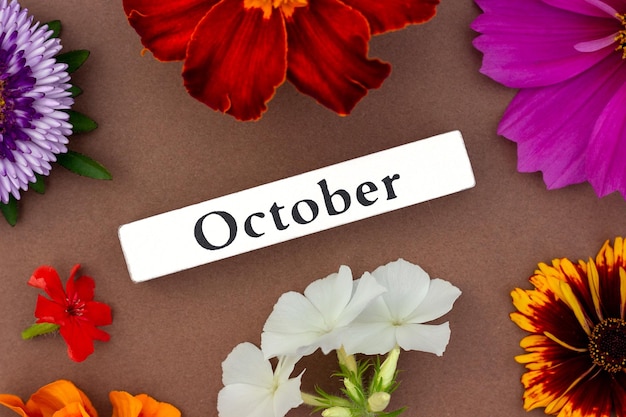 Kalender herfstmaand oktober en heldere bloemen op bruine achtergrond Bovenaanzicht Plat lag Minimaal concept Hallo herfst sjabloon voor uw ontwerp wenskaart