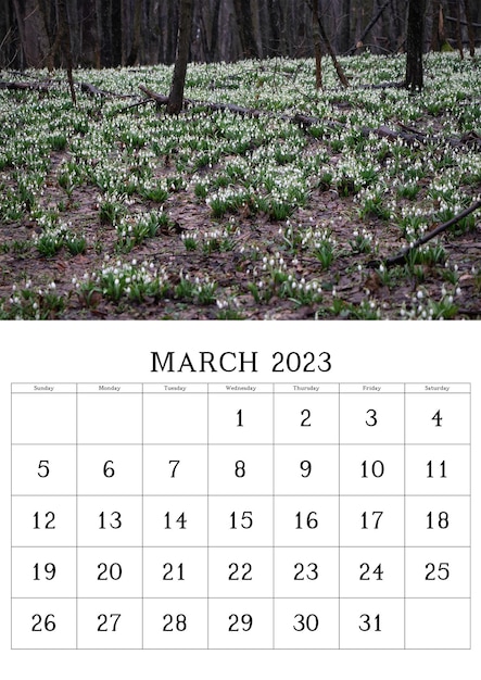 Kalender met natuurfoto voor maart 2023