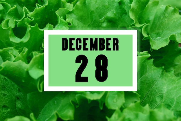 Kalenderdatum op kalenderdatum op de achtergrond van groene slabladeren 28 december is de achtentwintigste dag van de maand