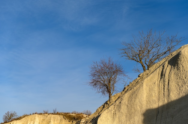 Kalksteenklif met bomen op de bovenkant bij kalksteengroeve