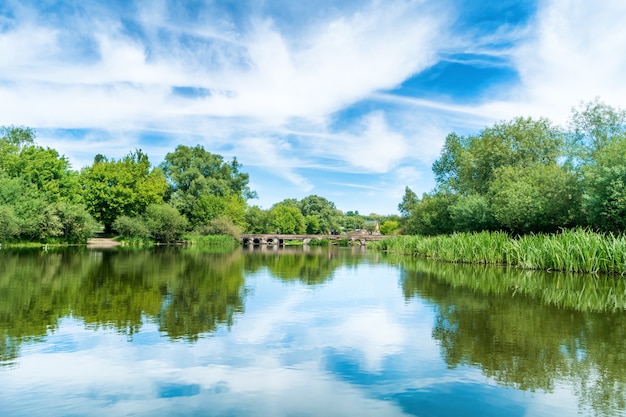 Kalm landschap met blauwe rivier en groene bomen