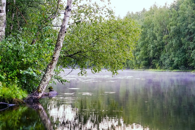 Kalm meer met mist over het water na de regen.