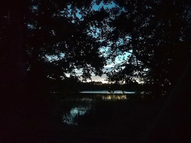 Kalm meeroppervlak 's avonds in Letland, Oost-Europa. zomer zonsondergang landschap met water en bos.