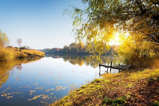 Kalme rivier en herfstbos bij zonsopgang