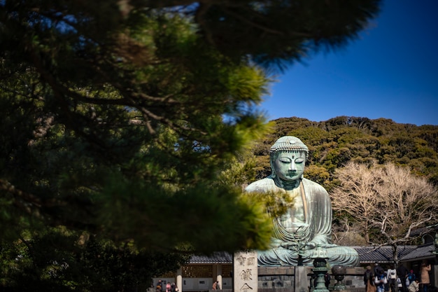 写真 鎌倉大仏と青空