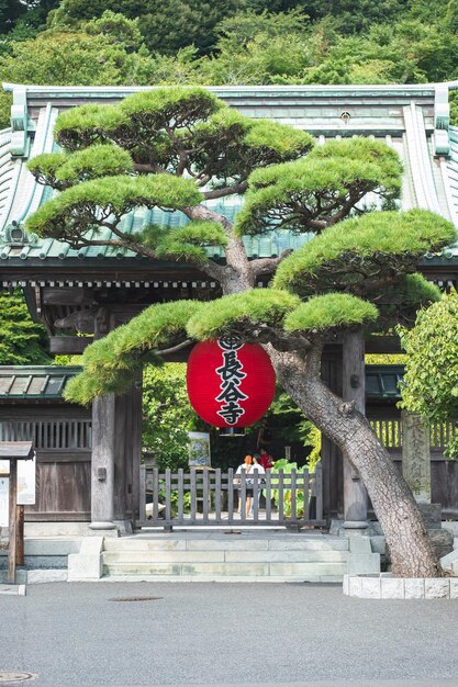 Kamakura Japan August 12 2023 Sanmon Gate at Kamakura Hasedera Kamakura Kanagawa Japan