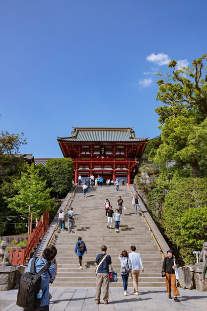 鎌倉、日本 2019 年 5 月 - 16 日: 日本の鎌倉にある鶴岡八幡宮と庭園。