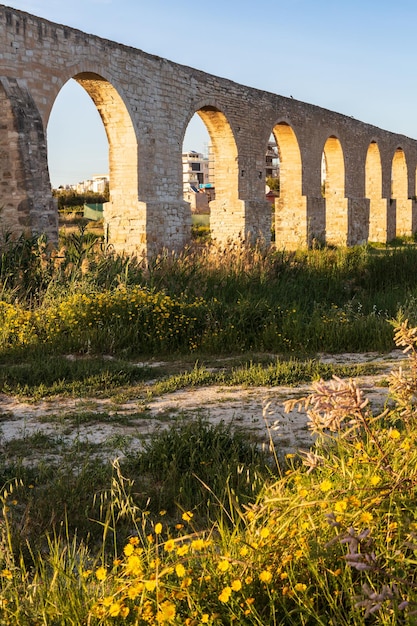 Kamares aqueduct in larnaca in spring with yellow flowers on the field cyprus