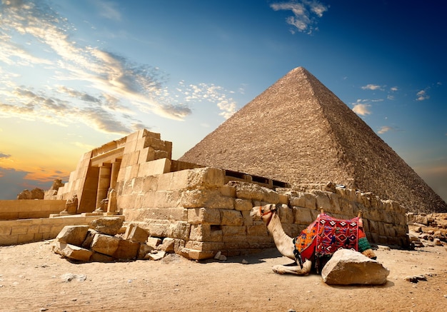 Kameel rust in de buurt van ruïnes van ingang naar piramide