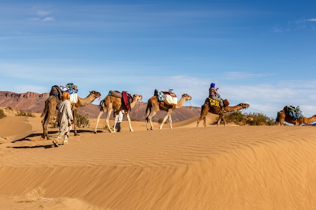 Kameelcaravan in de Woestijn van de Sahara
