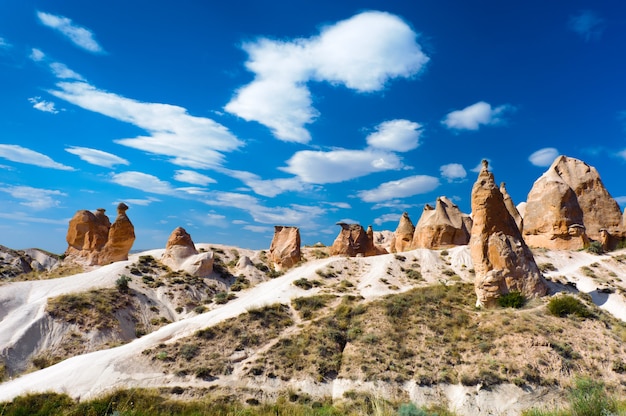 Kameelrots, Cappadocia, Turkije