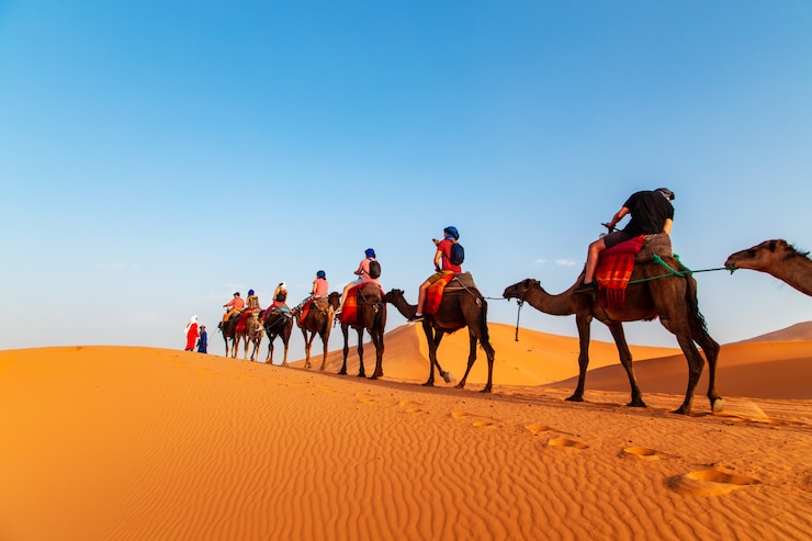 Foto kamelen bij zonsondergang in de woestijn van de sahara