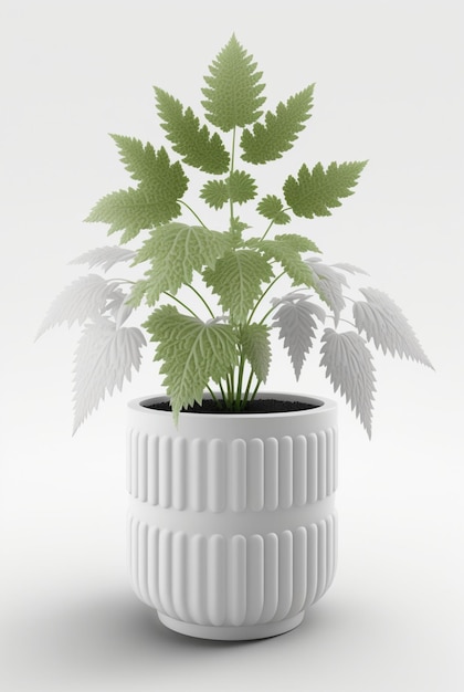 Kamerplant in pot geïsoleerde witte achtergrond interieur botanisch concept Generatieve AI