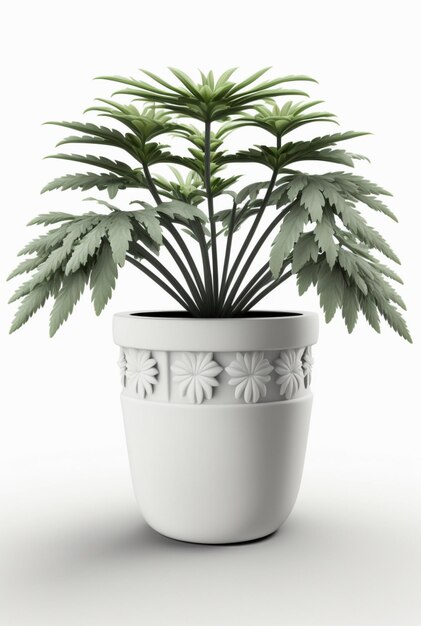 Foto kamerplant in pot geïsoleerde witte achtergrond interieur botanisch concept generatieve ai