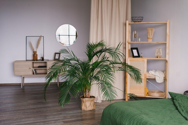 Kamerplanten dadelpalm in het interieur van een slaapkamer of woonkamer in een Scandinavische minimalistische stijl