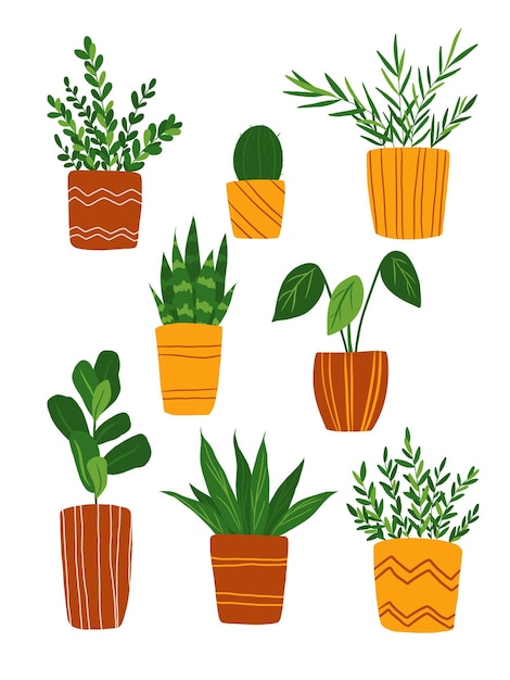 Kamerplanten illustraties set geïsoleerd op een witte achtergrond. Handgetekende posterkaart met platte ingemaakte bloemen