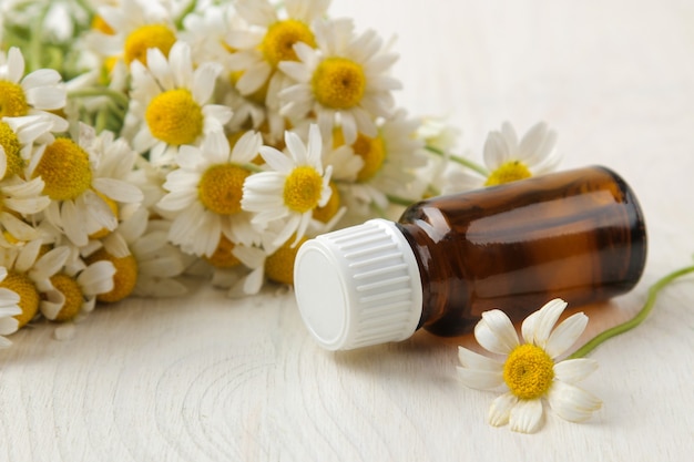 Kamille. Medicinale kleine bloemen van kamille met aroma-oliën op een witte houten tafel. detailopname