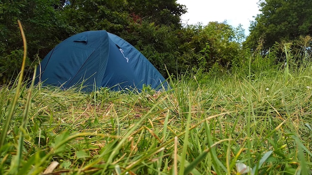 kampeertent in het groene bos