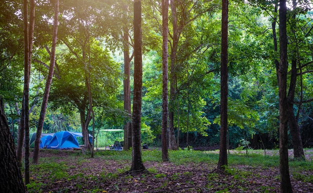 Kamperen en tent in natuurpark