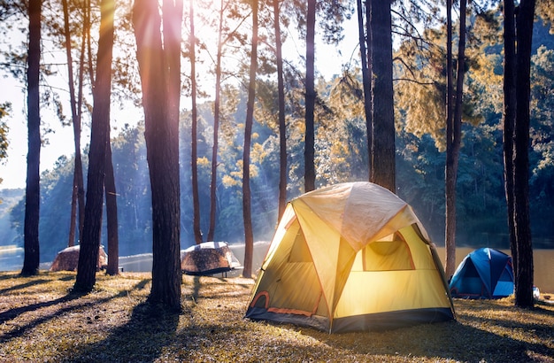 Kamperen en tent onder het dennenbos bij het meer met prachtig zonlicht in de ochtend