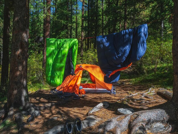 Kamperen in het bos. Slaapzak aan touw om te drogen en te luchten. Oranje tent in een naaldbos. Rust en ontspanning in de natuur.