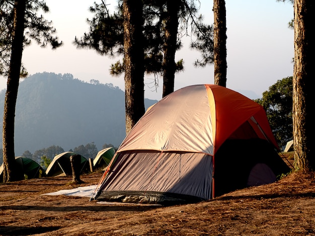 Foto kamperend in bos met tent in doi angkarng chiangmai thailand