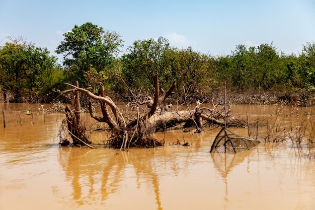 Kampong Phluk-dorp tijdens droogteseizoen. Leven en werk van inwoners van Cambodjaans waterdorp