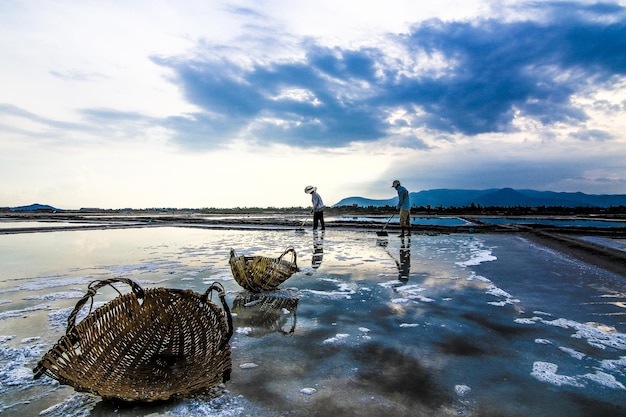 Kampot province Cambodia Salt field view