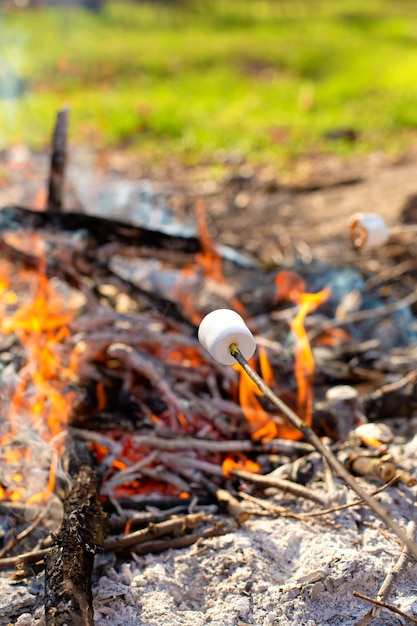 Kampvuur, marshmallows bakken op de brandstapel