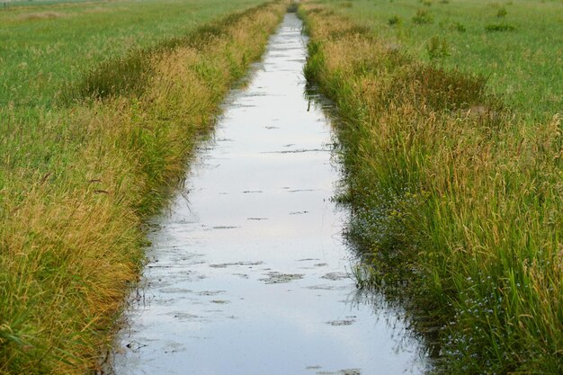 Kanaal in het midden van het veld