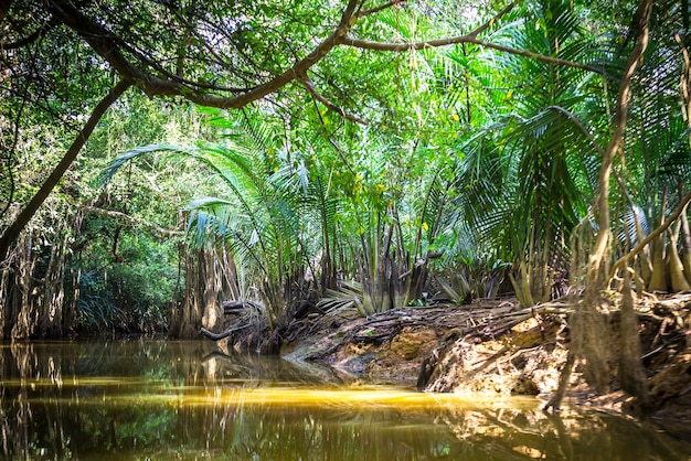 Kanaal in Phang Nga, Thailand