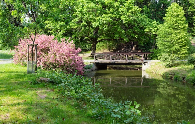 Kanaal met houten brug in zomer stadspark.