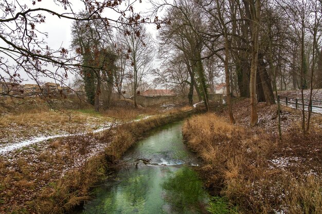 Foto kanaal te midden van bomen in het bos