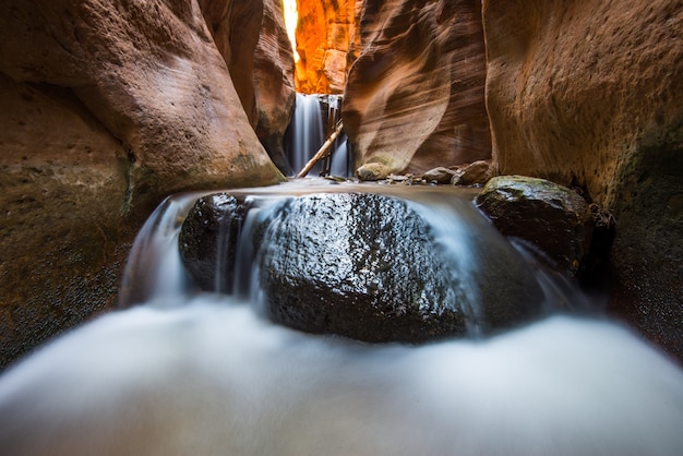 Kanarra Creek-spoor in Utah