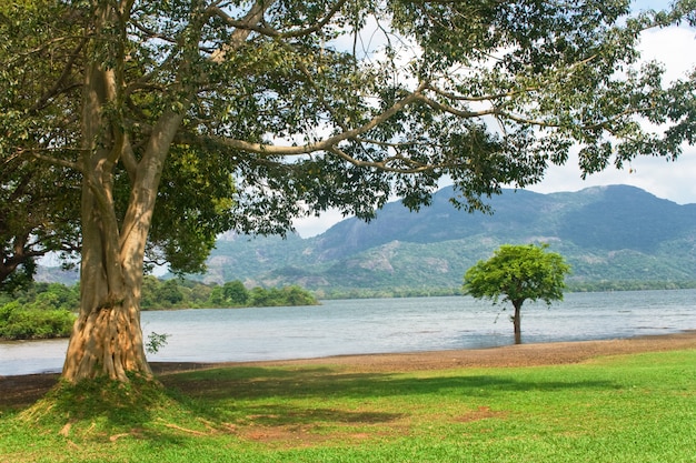 Lago kandalama