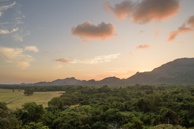 Parco nazionale di kandalama, dumbulla, sri lanka