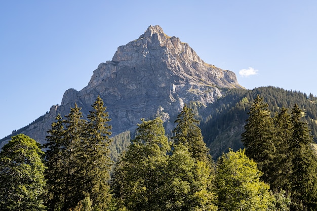 Kandersteg Switzerland -  View of Bire Peak in the Summer