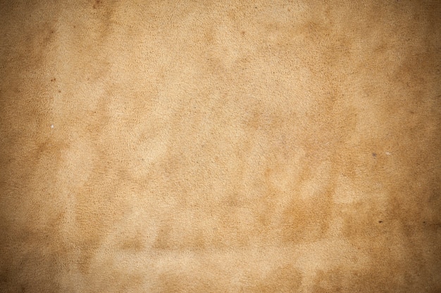 Photo kangaroo leather closeup background.