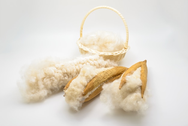 Kapok seeds with white fiber for making pillow