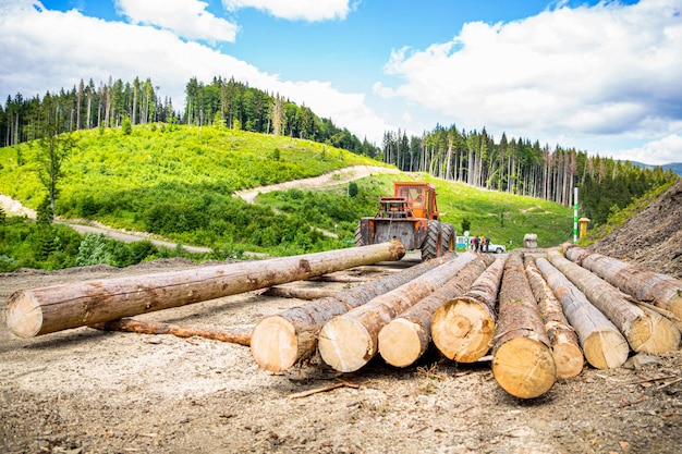 Kappen van gekapte bomen Boskapgebied Bosbeschermingsconcept Bosbouw Houthakker met moderne oogstmachine aan het werk in een bos Wiellader houtgrijper